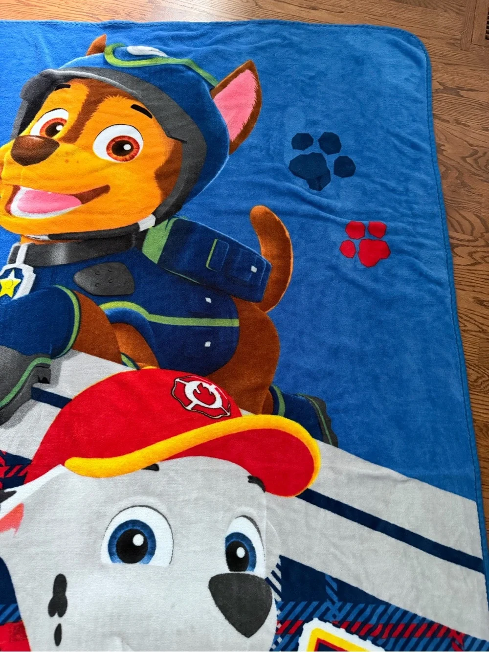 Paw Patrol plush paw